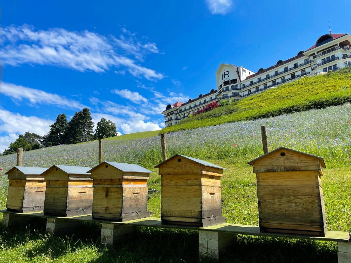 Hotel Royal Evian-les-Bains Bagian luar foto
